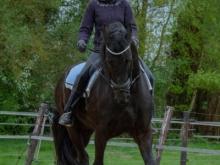 ARTIKEL blogger Heyesther: Equine-Motion, laat paarden gewoon weer paard zijn.