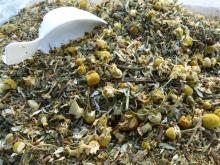 Verse kruiden voor paarden kopen