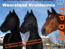 Weerstand paard verhogen met kruiden