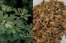 Makana Gember/Duivelsklauw Pellets voor Paarden, 1,5 kg Zak