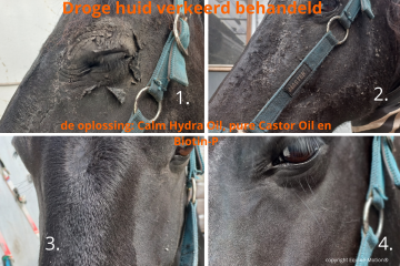 onterecht imaverol gebruikt bij extreem droge huid bij paard,