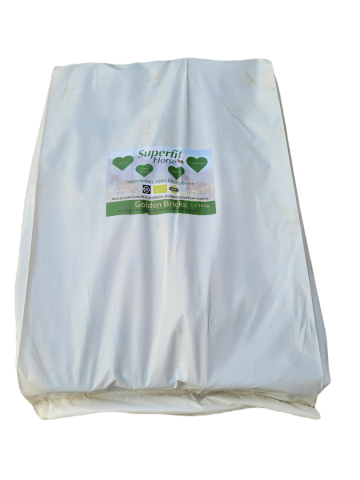 superfit horse golden bricks