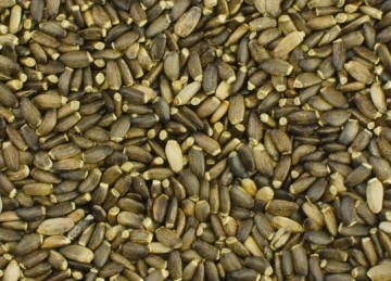 Mariadistel zaad paard Detox Lever