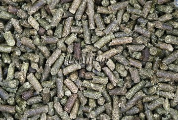 Equifyt Alfalfa cubes luzerne brok korrel