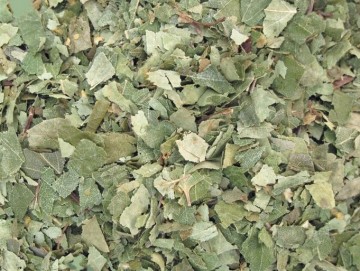 Berkenblad paard vochtafvoer, blaas