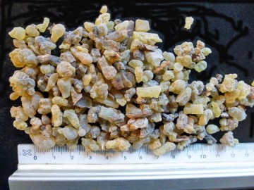 Boswellia korrels paard