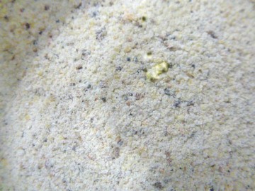 Boswellia paard gemalen poeder