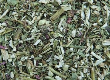 Echinacea voor paarden