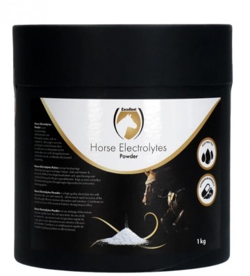 Elektrolyten paard Poeder met B2