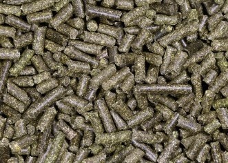 Equifyt sainfoin esparcette cubes