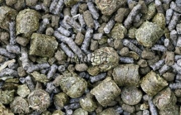 Equifyt zupa slobber mash