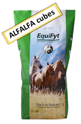 Equifyt alfalfa cubes