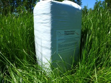 Equine motion ruwe timothee gras