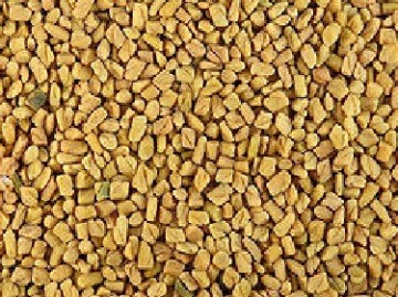 Fenegriek paard zaad