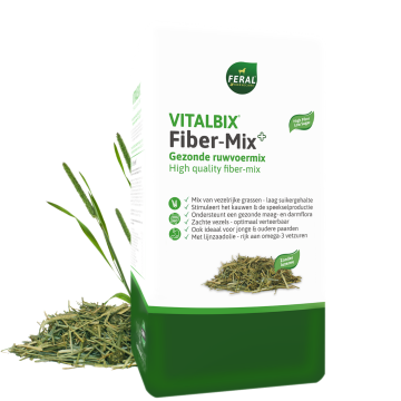 Vitalbix fiber