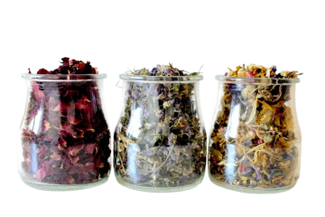 Flower 25102481280 removebg preview