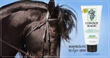 Frisian cowboy magic 0