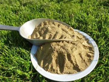 Groenlipmossel paard