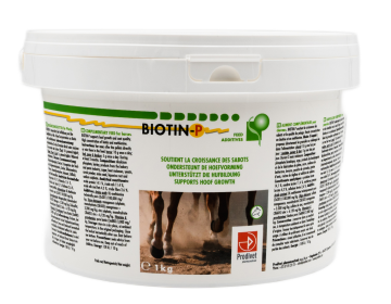 brokkelhoeven, scheur in hoef, korstjes op benen paard