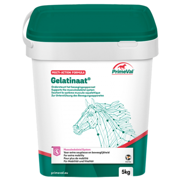 Primeval Gelatinaat 5 kg