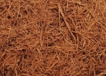 Kattenklauw immuunsysteem paard