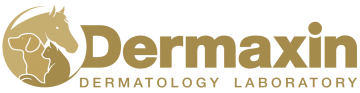 Logo dermaxin paard