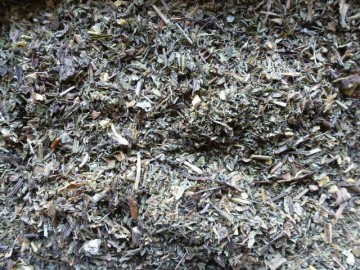 Luchtwegen kruiden voor paard