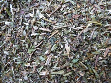 Melisse blad paardenkruiden