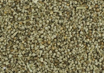 Monnikspeper hengsten gedrag verminderen