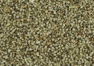 Monnikspeper voor merries en hengsten