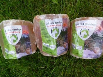 Himalaya liksteen paard