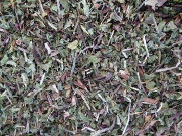 Paardenbloem paardenkruiden