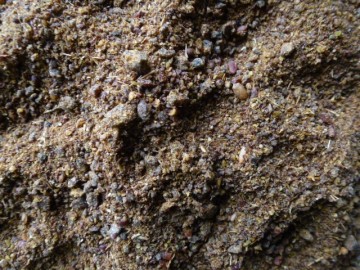 Biergist Lijnzaad paard