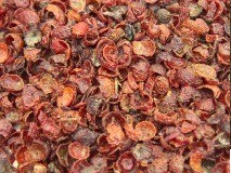 Rozenbottel gesneden paarden