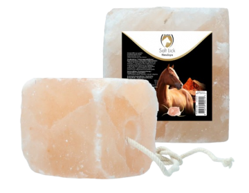 Schermafbeelding2025 12 10180020 photoroom removebg preview 1