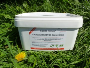 Spijsvertering paard