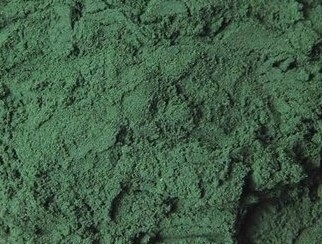 Spirulina voor paarden superfood