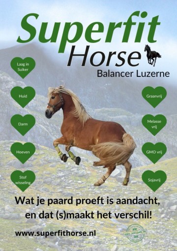 Superfit horse balancer