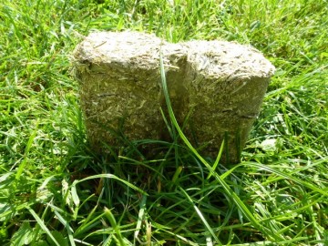 Superfit horse golden bricks hooiblokken luzerne 1