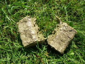 Superfit horse golden bricks hooiblokken luzerne 3