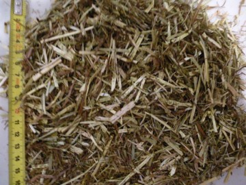 Fibre mix paard Timothee maagzweren