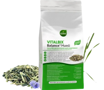 Vitalbix balance