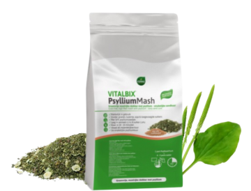 Vitalbix psyllium mash