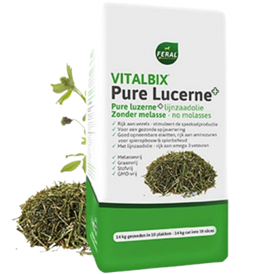 Vitalbix pure lucerne