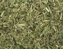 Weegbree hoesten paard