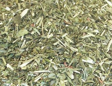 Wijnruit / Ruta graveolens pezen paard