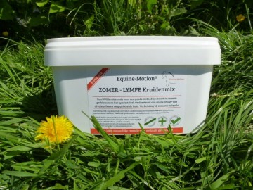 Zomereczeem lymfe kruiden paard