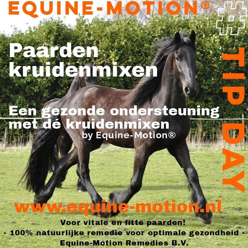 kruiden voor paarden