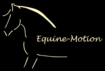 gestileerd paard als logo van Equine Motion